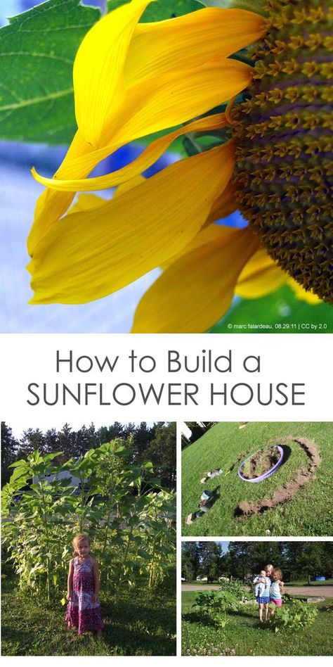 Gardening with Children: Create a Sunflower House for Kids *We are so making this sunflower fort! Sunflower Teepee, Sunflower Fort, Honey Bee Garden, Backyard Fort, Children Garden, House For Kids, Outdoor Learning Activities, Sunflower House, Childrens Gardening