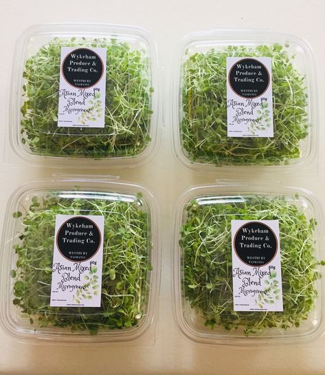 Microgreens Packaging Ideas, Microgreen Packaging, Fresh Food Packaging, Microgreens Garden, Microgreens Recipe, Vegetable Packaging, Micro Garden, Vegetable Garden Planner, Food Cart Design