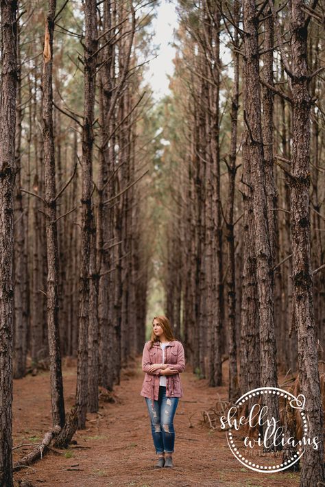 Pine trees definitely get overlooked... they're simple, have no leaves, yet somehow look awesome in photographs. Photoshoot In Pine Trees, Photography Poses With Trees, Poses With Trees Picture Ideas, Vagamon Pine Forest, Pine Forest Photoshoot Ideas, Trail Photoshoot Ideas, Pine Tree Photography, Pine Tree Photoshoot, Pine Forest Photography