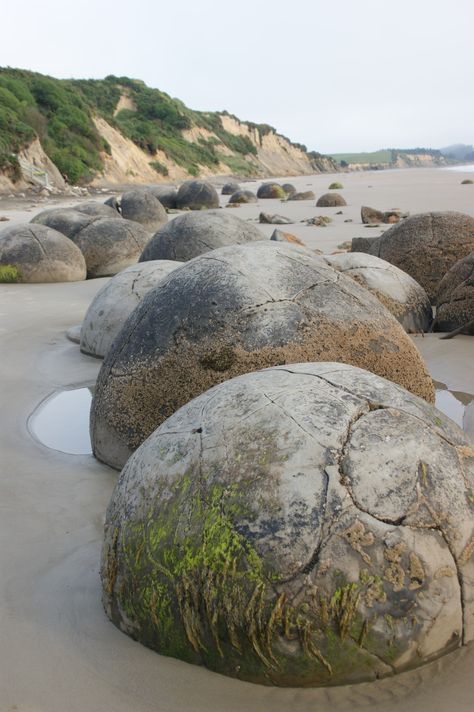 Moeraki Boulders, New Zealand Moeraki Boulders, Planet Earth, Middle Earth, Bouldering, New Zealand, Planets, Natural Landmarks, Travel