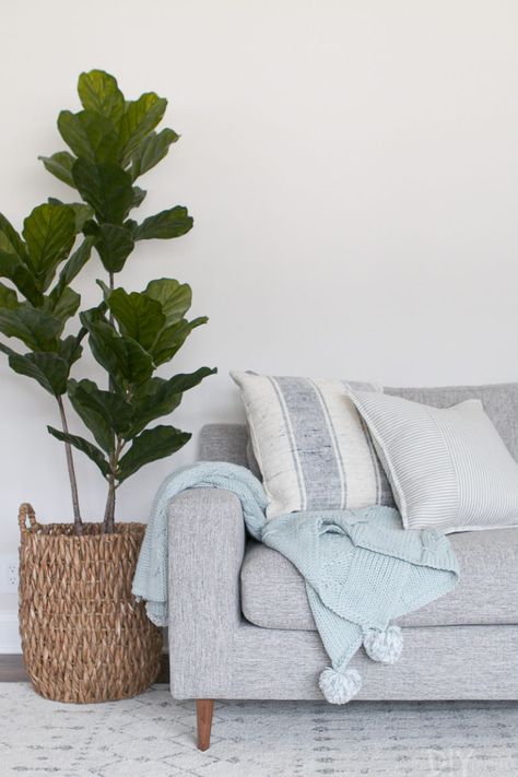 Room Plants, Family Room Makeover, Diy Playbook, Couch Throw Blanket, Living Room Plants, Wood Bookshelves, Fiddle Leaf, Ideas Living Room, Couch Throws