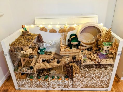 Lola's newly cleaned home. Watch full video of how I clean this enclosure. https://www.youtube.com/watch?v=8ZGIZ2wnSSs Mouse Enclosure, Hamster Enclosure, Hamster Enclosure Ideas, Kandang Hamster, Hamster Bin Cage, Mouse Cage, Hamster Diy, Hamster Habitat, Hamster Care