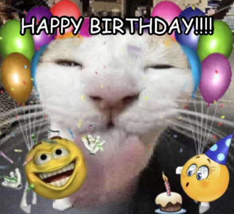 Happy Birthday Reaction Pic Funny, Happy Birthday Cat Meme, Happy Bday Meme, Happy Birthday Reaction Pic, Birthday Reaction Pic, Silly Happy Birthday, Happy Birthday Wishes For Friend, Enjoy Your Special Day, Happy Birthday Cat