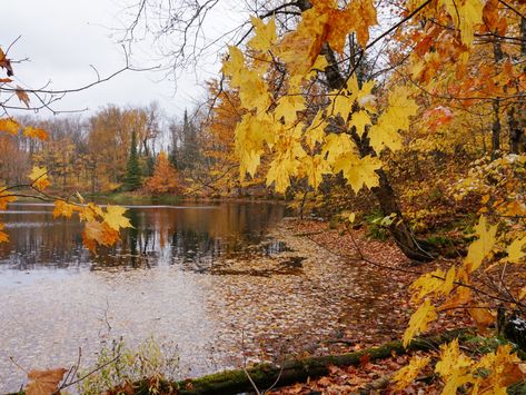 Northern Wisconsin, Wisconsin Travel, Lake Boat, Bike Path, Weekend Trip, Cross Country Skiing, Pine Forest, Nature Trail, Best Hikes