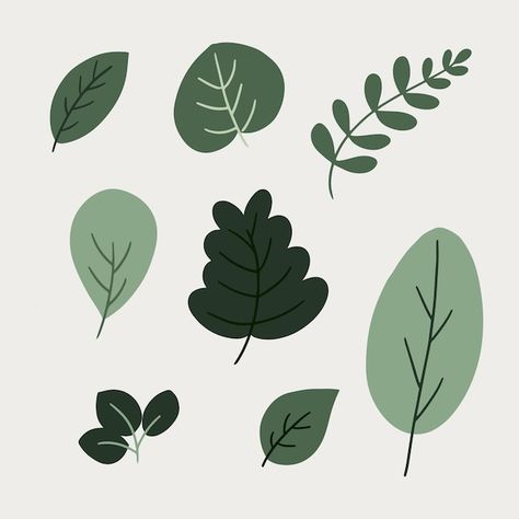 Set of handdrawn leaves | Premium Vector #Freepik #vector #illustrations #green-illustration Leave Illustration, Leaf Vector Illustration, Print Making Designs, Textile Motifs, Leaf Geometric, Leaves Drawing, Leaf Graphic, Leaf Vector, Green Illustration