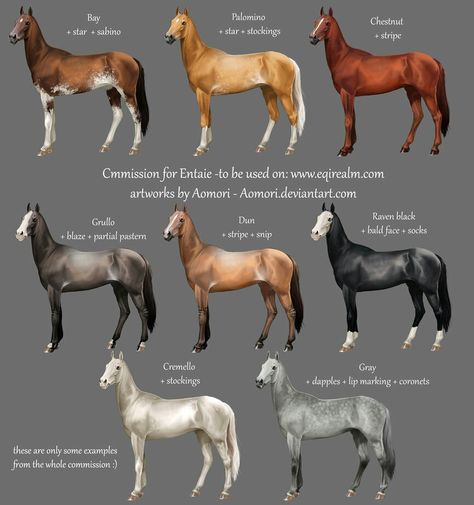 Some Akhal Teke colors/markings Ahal Teke, Rare Horse Breeds, Horse Coat Colors, Akhal Teke Horses, Rare Horses, Horse Facts, Golden Horse, Akhal Teke, Types Of Horses