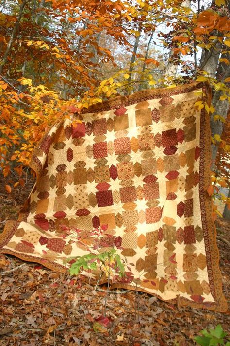 Morning Star Quilt from the Celebrate Creativity blog. Gorgeous This is perfect for a fall quilt for our room! Love, love, love..! Morning Star Quilt, Quilting Digest, Pretty Quilt, Holiday Quilts, Free Quilt Patterns, Halloween Quilts, Fall Quilts, Manta Crochet, Traditional Quilts