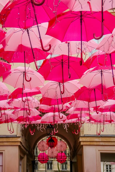 Pink umbrellas in Paris,  Paris in Spring photo by Falling Off Bicycles, fine art Paris photography, Julia Willard Venue Aesthetic, Instagram Walls, Paris In Spring, Spring In Paris, Amsterdam Photos, District 9, Pink Umbrella, Pink Photography, Umbrella Cover