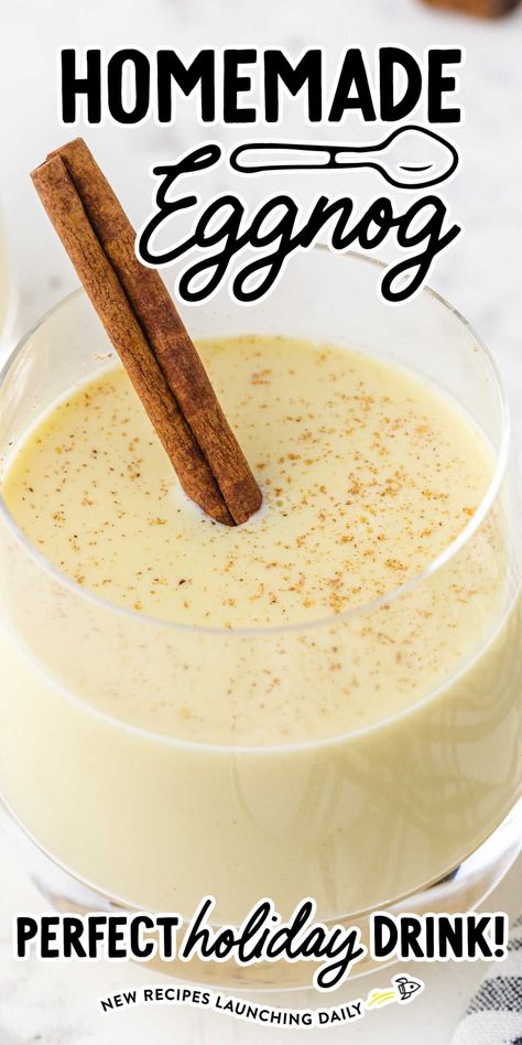 Non Alcoholic Eggnog Recipe, Eggnog Recipe Spiked, Egg Nog Recipe Easy, Best Eggnog Recipe, Homemade Eggnog Recipe, Alcoholic Eggnog, Eggnog Recipe Homemade, Classic Eggnog, Easy Eggnog