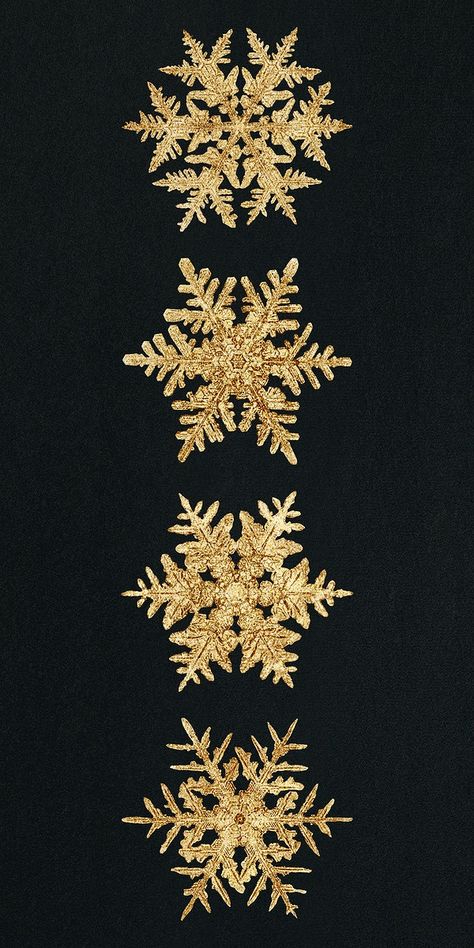 Christmas gold snowflake psd macro photography set, remix of art by Wilson Bentley | premium image by rawpixel.com / nap White And Gold Christmas Background, Gold Christmas Background, Wilson Bentley, Snow Flake Background Wallpapers, Dark Snowflake Wallpaper, Real Snowflakes Photography, Snowflake Photography, Red Snowflakes Wallpaper, Winter Heart