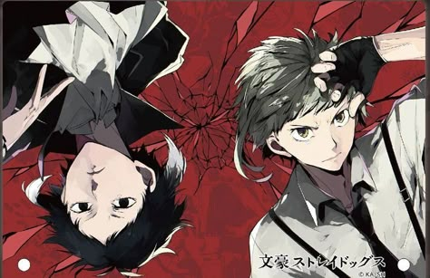 Sango Harukawa, Akutagawa Atsushi, Bsd Official Art, Atsushi X Akutagawa, Bungou Stray Dogs Wallpaper, Bsd Manga, To The Stray Dogs, Shin Soukoku, Bungou Stray Dogs Characters