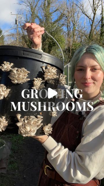 How To Preserve Mushrooms For Decoration, Growing Your Own Mushrooms, Grow Mushrooms Indoors, Growing Mushrooms Outdoors, Mushroom Growing Diy, How To Grow Mushrooms At Home, Mushroom Planting, Mushroom Grow Room, Diy Garden Mushrooms