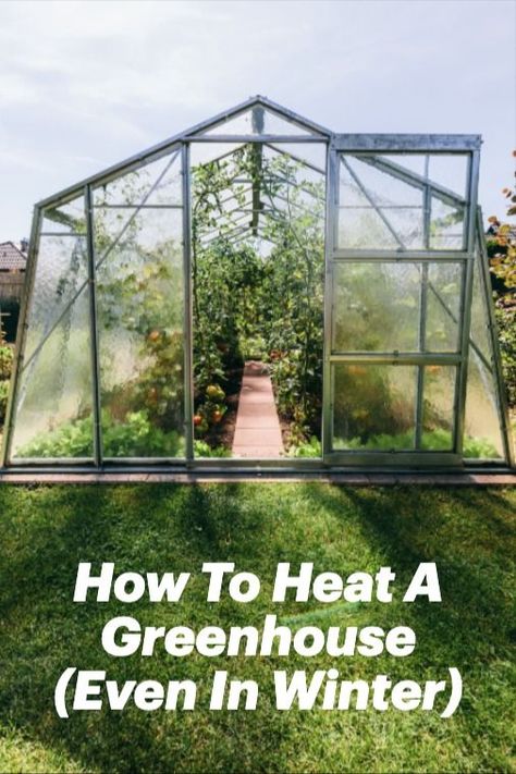 If you need more space for growing plants in the winter, a greenhouse seems like a logical choice. However, there is still the problem of germinating seeds and keeping plants alive in the winter cold. Let’s take a closer look at how these greenhouse heating methods work, and which ones might be the best option for you. 6x8 Greenhouse, Greenhouse Heating, Germinating Seeds, Greenhouse Heaters, Keeping Plants Alive, Heating A Greenhouse, Preschool Garden, Best Greenhouse, Winter Greenhouse