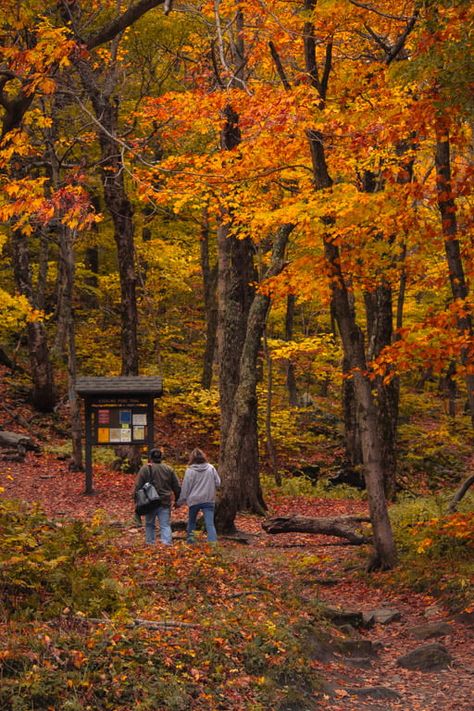 The Best Things To Do In Stowe, Vermont in Fall Burlington Vermont Fall, Montpellier Vermont, Vermont In Fall, Vermont Living, Vermont In The Fall, Fall In Vermont, Vermont Trip, Southern Vermont, Killington Vermont