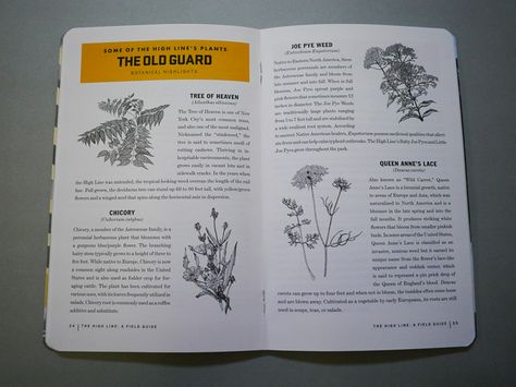 Field Guide Design Layout, Field Guide Design, Mushroom Guide, Salted Granola, Guide Design, Guided Imagery, Magazine Layouts, Magazine Spreads, Land Trust