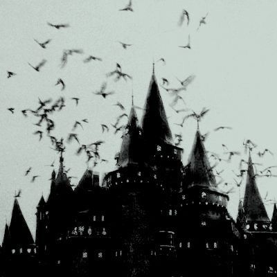 Paradis Sombre, Goth Architecture, Vampire Castle, Independent Study, My Year, Gothic Aesthetic, Gothic Horror, Dark Gothic, Goth Aesthetic