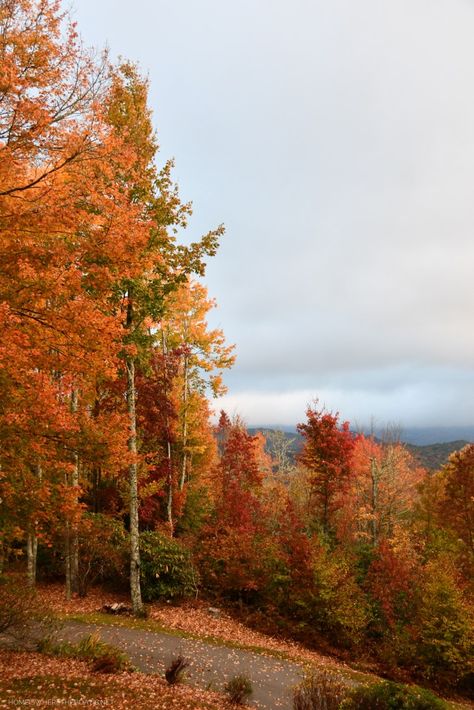 Fall October, Fall Adirondacks, Fall In The Mountains, Fall Mountains, Autumn Mountains, Fall Nature, Fall Mountains Aesthetic, Fall Landscape, Fall Trees