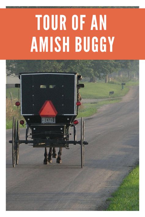 Amish Buggy Tour Shipshewana Indiana, Amish Buggy, Market Vendor, Amish Lifestyle, Amish House, Amish Culture, Amish Community, Indiana Travel, Amish Country