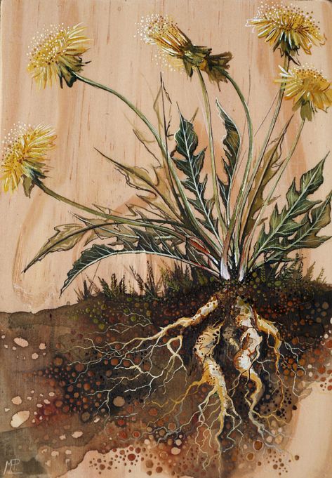 I Make Fantastical Nature Inspired Illustrations Dandelion Illustration, Dandelion Watercolor, Paintings On Wood, Dark Mysterious, Illustration Nature, Watercolor On Wood, Wood Painting Art, Watercolor Flower Art, Wood Burning Art