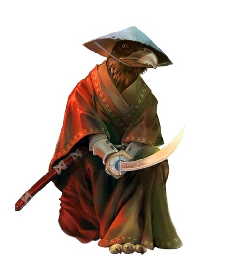 Male Tengu Samurai Warrior Fighter - Pathfinder 2E PFRPG PFSRD DND D&D 3.5 4E 5E 5th ed d20 fantasy Tengu Samurai, Dnd Kenku, Pathfinder Character, Fantasy Races, Dungeons And Dragons Characters, Fantasy Monster, Fantasy Warrior, Fantasy Rpg, Rpg Character