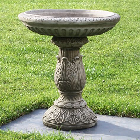 Stone Floral Bird Bath | Bird Spot Birdbath Landscaping, Modern Bird Baths, Plastic Bird Bath, Birdbath Ideas, Bird Baths Homemade, Fairy Garden Bird Bath, Birdbath Garden, Ceramic Bird Bath, Stone Bird Baths