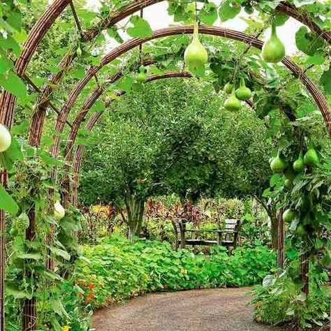 24 best DIY garden trellis ideas & designs: build easy cucumber trellis, bean teepee, beautiful vine pergola, plant screen, & vegetable garden structures! - A Piece of Rainbow #spring #summer #apieceofrainbow #trellis #verticalgarden #ediblegarden #vegetablegardening #backyard #gardens #gardening backyard, landscaping, gardening tips, #urbangardening #gardendesign #gardenideas #containergardening #DIY #homestead homesteading #gardeningtips #woodworkingprojects #woodworkingplans Garden Trellis Panels, Garden Trellis Designs, Vegetable Trellis, Garden Arch Trellis, Plant Structure, Screen Plants, Diy Garden Trellis, Arch Trellis, Trellis Ideas