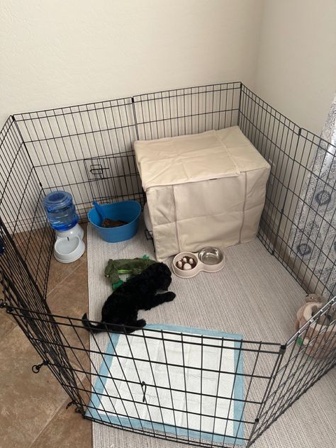 small dog sits in play pen with puppy essentials surrounding him Cute Kennel Ideas, Puppy Crate Ideas, Dog Set Up, Puppy Set Up Ideas, Puppy Room Decor, Playpen For Dogs, Dog Room Design, Weiner Dog Puppies, Puppy Pen