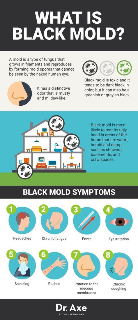 Get The Facts About Black Mold in Wilmette, IL - The CleanUP Guys Mold Symptoms, Black Mold Symptoms, Mold Allergy, Mold Prevention, Mold Exposure, Toxic Mold, Black Mold, Cleaning Mold, Mold Remover