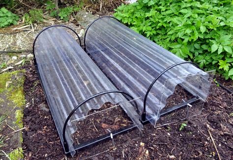 Gardeners' World cloche envy | Andy Bennett Garden Cloches, Garden Cloche, Monty Don, Garden Hacks, Exhibition Stand, Back Garden, Summer Garden, Black Paint, Garden And Yard