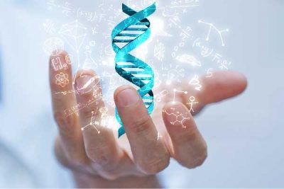 Genetic testing can provide information about changes in chromosomes, genes, or proteins that might impact a person’s health, development, or ability to respond to certain medical treatments. Testing is available from pre-birth throughout the lifespan. Human Genome, Gene Therapy, In Vitro, Genetic Testing, Dna Test, Human Design, Dental Implants, Oral Health, Pediatrics