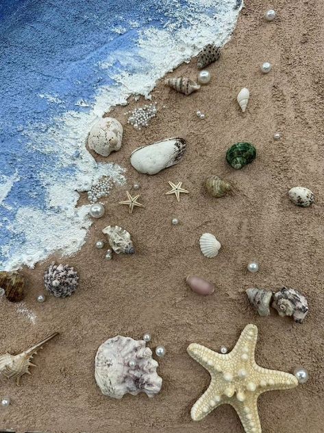 Sea Shell Astethic, Shells Widget, Shell Widget, Beach Aesthetic Widget, Sea Shell Aesthetic, Shells Aesthetics, Sea Core Aesthetic, Seashell Aesthetic, Mermaid Aesthetic