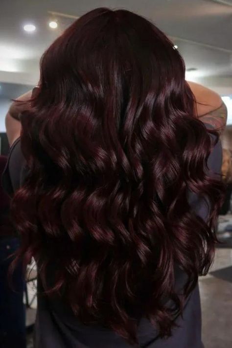 Cherry Black Scarlet Red Hair, Color For Black Hair, Black Hair Ideas, Cherry Brown Hair, Black Cherry Hair Color, Red Hair Dye, Black Cherry Hair, Cherry Hair Colors, Cherry Red Hair