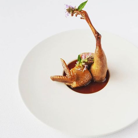 Gourmet Plating, Food Plating Design, Fine Dining Plating, Gourmet Food Plating, Chefs Plate, Chef Inspiration, Modern Food, Gourmet Chef, Fine Dining Recipes