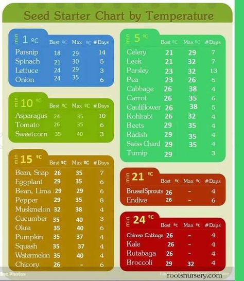 In Celsius Homestead Survival, Seed Starting, When To Plant Seeds, Spring Vegetable Garden, When To Plant Vegetables, Seed Starter, Seed Germination, Veggie Garden, Growing Food