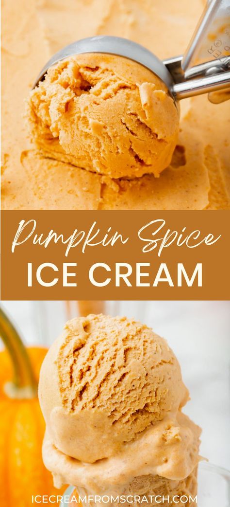 The top half has an ice cream scoop scooping from a layer of pumpkin spice ice cream. The bottom half has a sugar cone holding 2 scoops of pumpkin spice ice cream. Pumpkin Ice Cream No Churn, Butter Pecan No Churn Ice Cream, No Churn Pumpkin Ice Cream, Fall Ice Cream Sundaes, Fun Ice Cream Flavors, Pumpkin Spice Ice Cream Recipe, Pumpkin Ice Cream Recipe, Fall Ice Cream, Autumn Dishes