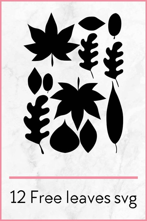 Cricut Leaf Template Free, Free Leaves Svg, Fall Leaves Svg Free, Free Leaf Svg, Fall Svg Files Free, Leaf Svg Free, Fall Clip Art Free, Cricut Leaves, Insect Study