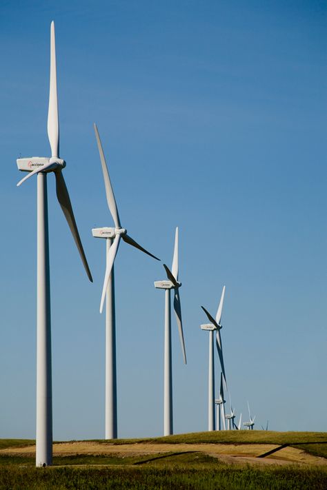 #renewable #energies #turbinas eólicas #energia eólica Clean Energy Aesthetic, Energy Facts, Types Of Renewable Energy, Renewable Energy Systems, Wind Turbines, Wind Farm, Energy Projects, Wind Energy, West Texas