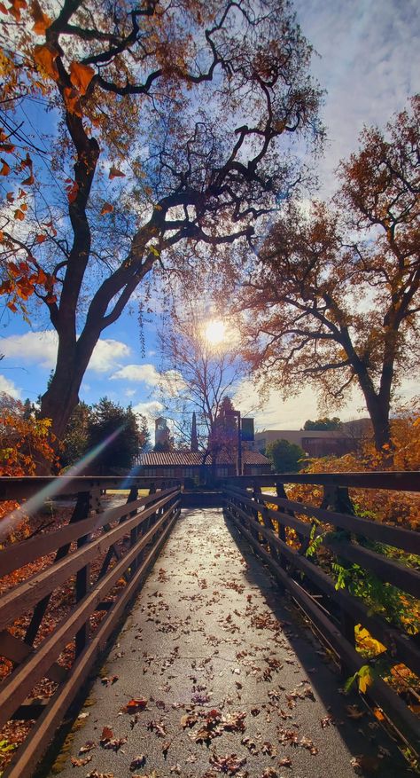 Chico State Aesthetic, Cal State Fullerton Aesthetic, Boise State University Aesthetic, Chico State University, 2024 Prayer, College Core, Campus Aesthetic, Dream University, Chico State