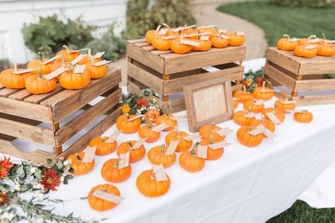 Fall Wedding Seating, Fall Color Pallet, Fall Wedding Style, Fall Wedding Ideas, Fall Wedding Color Palette, Pumpkin Wedding, Winter Wedding Colors, Wedding Tablecloths, Outdoor Fall Wedding