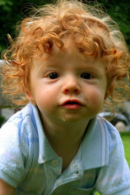 baby red head! Omg look at those curls! If my boy doesn't have curls I'm going to be mad Roux Auburn, People With Red Hair, Redhead Baby, Ginger Kids, Ginger Babies, I Love Redheads, Beautiful Red Hair, Baby Faces, Hair Red