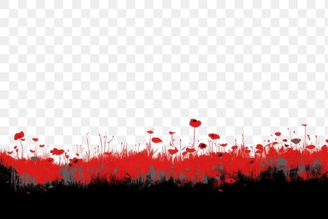 Border Png, Remembrance Day, Poppy Flower, Red Poppies, Poppies, Line Art, Royalty Free, Plants, Flowers