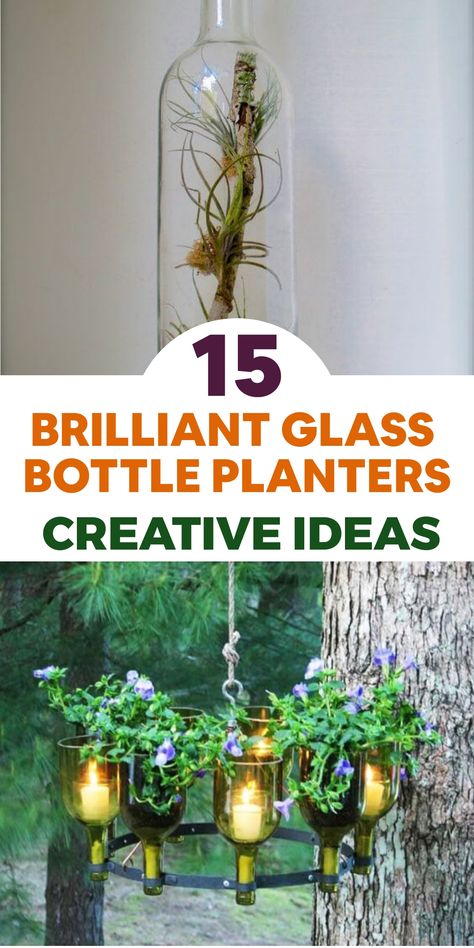 Enhance your plant collection with creative glass bottle planters! Upcycle simple bottles into beautiful, eco-conscious pots for your beloved plants. Explore our detailed tutorials to design one-of-a-kind arrangements that will invigorate any room. Find inspiration to showcase your plants beautifully! Bottle Planters, Creative Planters, Wine Bottle Garden, Wine Bottle Candle Holder, Growing Poppies, Wine Bottle Planter, Wine Bottle Centerpieces, Fence Planters, Bottle Trees