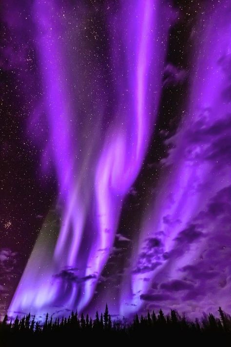 Northern Lights Wallpaper, Northern Lights Photography, Light Purple Wallpaper, Northern Lights (aurora Borealis), Aurora Borealis Northern Lights, Pretty Landscapes, Sky Art, Pretty Wallpapers Backgrounds, Purple Wallpaper