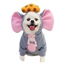 Small Dog Costumes, Pet Costumes Cat, Puppy Jacket, Hoodies Cute, Travel Dog Bowl, Dog Winter Clothes, Pet Halloween Costumes, Scary Costumes, Small Puppies