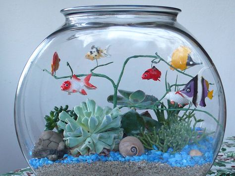 Fish Bowl. I have to do this...when I get plants and fake fish and pretty much everything. Easy Mermaid Drawing, Fake Fish Tank, Plants In Jars, Diy Fish Tank, Miniature Terrarium, College Room Decor, Diy Bowl, Faeries Gardens, Fish Supplies