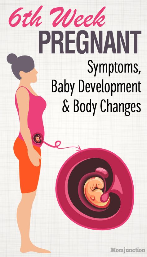 6th Week Pregnancy: Baby Development, Symptoms And Ultrasound: In the sixth week, you are still in the initial phase of your pregnancy but can reach some important milestones and see your little one through the first-trimester ultrasound. #6thweek #pregnancy #pregnancycare #baby #babydevelopment #weekbyweekpregnancy 6 Weeks Pregnant Symptoms, Pregnancy Development, Pregnant Symptoms, Stages Of Baby Development, 6 Weeks Pregnant, 5 Weeks Pregnant, Baby Development Activities, 5 Month Old Baby, Pregnancy Ultrasound