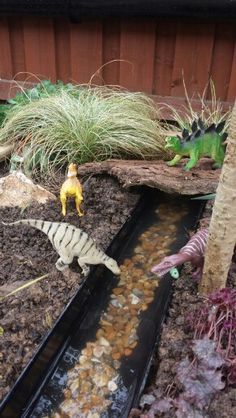 Dinosaur garden Dino Garden, Fairy Garden Design Ideas, Cute Fairy Garden, Barn Crafts, Dinosaur Garden, Kids Yard, Play Garden, Dinosaur Room, Water Drain