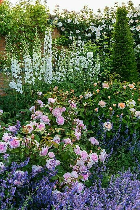 Cottage Garden Design, Walled Garden, English Cottage Garden, Garden Types, Have Inspiration, The Secret Garden, Plant Combinations, Garden Borders, Gorgeous Gardens