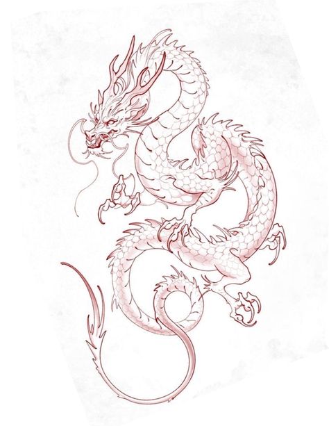 Asian Dragon Drawing, Dragon Chino Tattoo, Dragon Tattoo Outline, Dragon Tattoo Stencil, Chinese Dragon Drawing, Japanese Dragon Drawing, Asian Dragon Tattoo, Dragon Tattoo Sketch, Dragon Tattoo Ideas