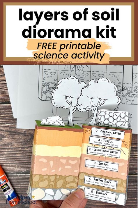 This free printable science activity is fantastic for mess-free learning fun. Your kids will have a blast learning about the layers of soil with this diorama kit. Science Diorama, Agriculture Education Classroom, Layers Of Soil, Soil Activities, Science Printables, Summer Science, Nature School, Science Activity, Science Activities For Kids